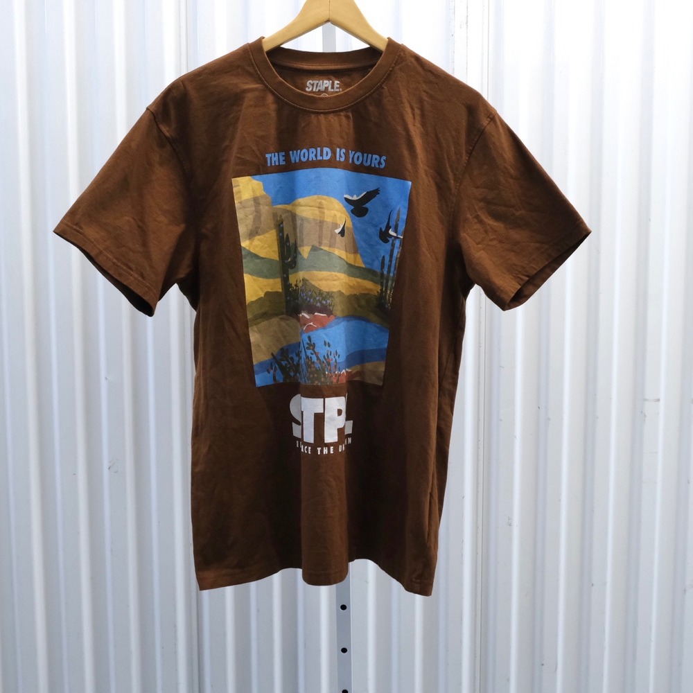 Staple Graphic T-Shirt Mens Large Brown The World Is Yours STPL Desert Cotton